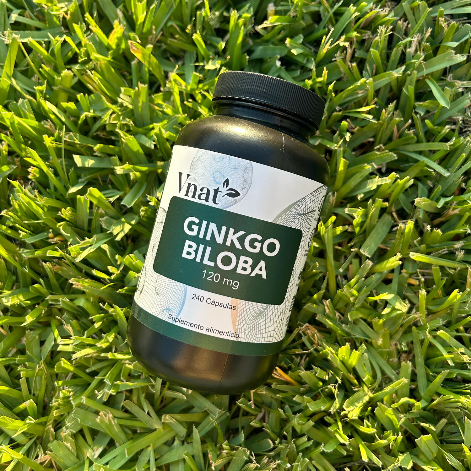 Suplemento de Ginkgo Biloba 120mg con 240 cápsulas sobre el césped verde, ideal para mejorar tu rutina diaria de bienestar.