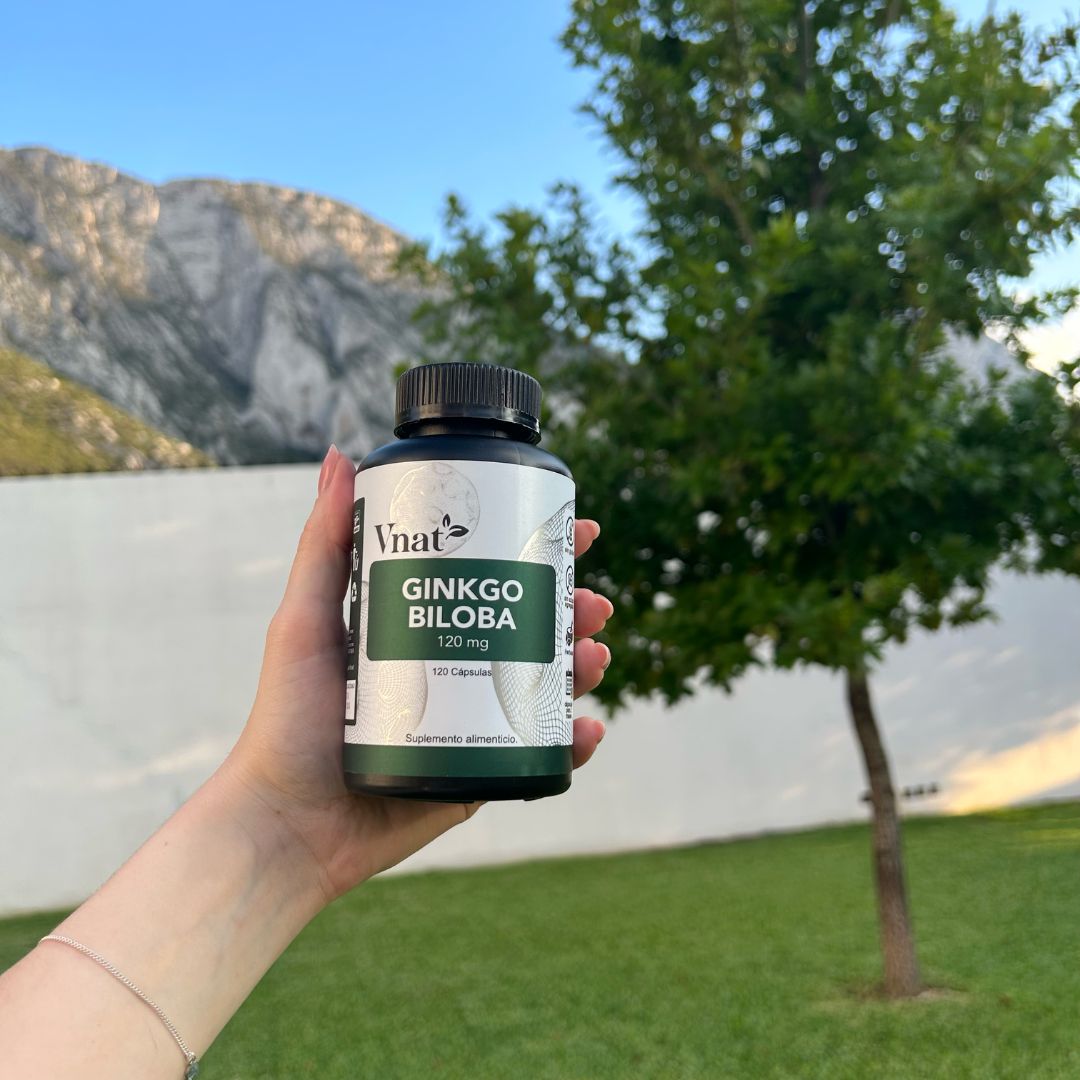 Mano sosteniendo un bote de Ginkgo Biloba 120mg con 120 cápsulas de Vnat con fondo de montañas y un árbol