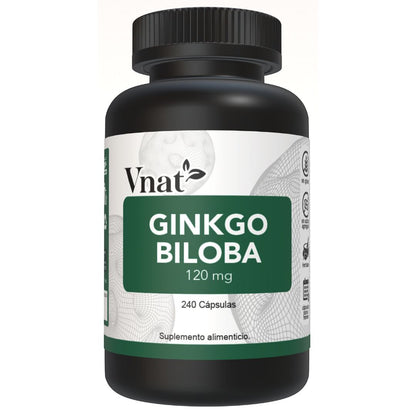 Frente del bote de Ginkgo Biloba 120mg de 240 cápsulas de Vnat mostrando la etiqueta principal