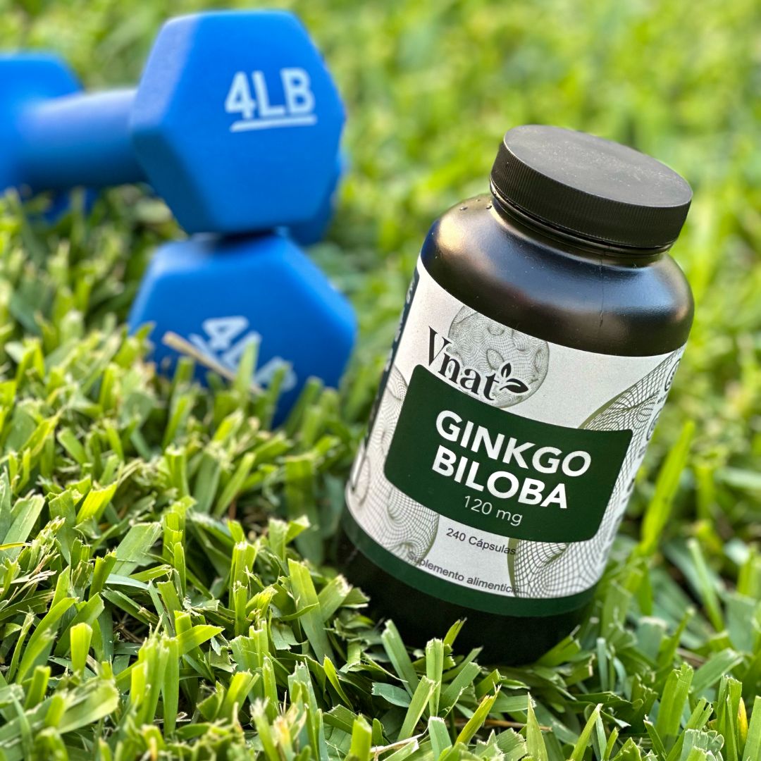 Bote de Ginkgo Biloba 120mg con 240 cápsulas de Vnat junto a mancuernas azules en el césped.